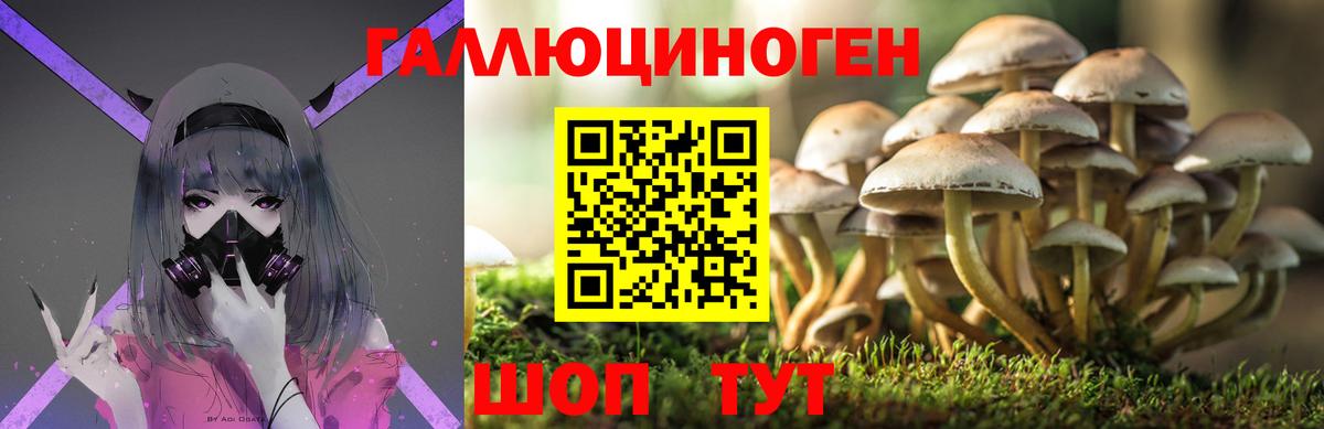 Галлюциногенные грибы мицелий  Вход с VPN  Благодарный 